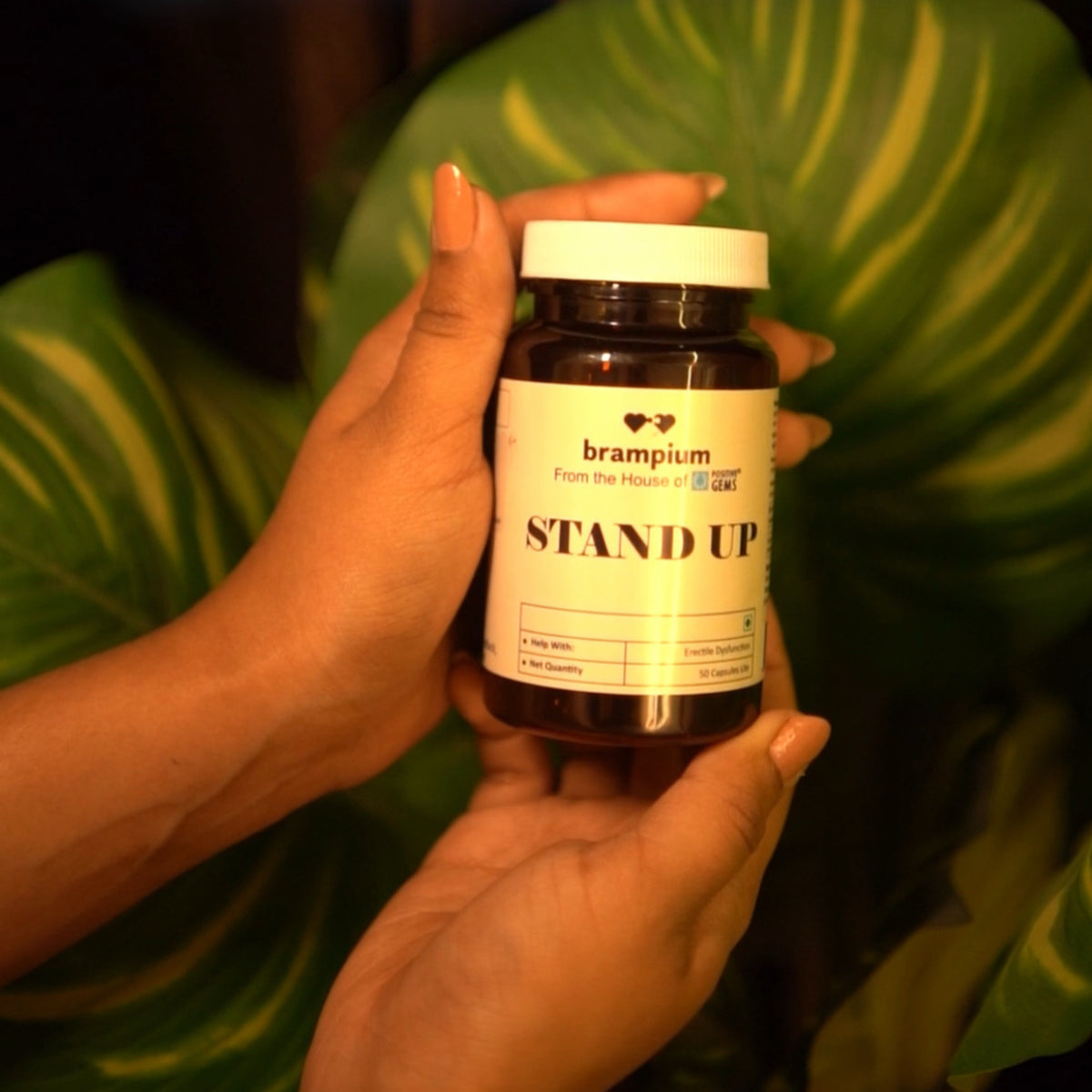 brampium Stand-Up® Ayurvedic